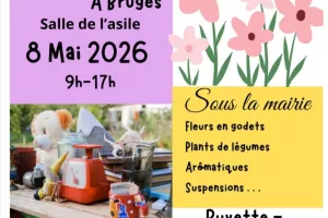 Marché aux fleurs et vide grenier