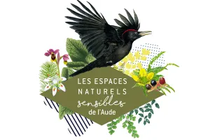 ENS - SAINTE-LUCIE, UN JOYAU NATUREL À TROIS FACES