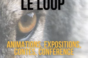 Il était une fois...le Loup"