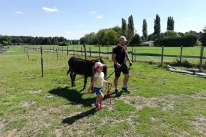 À la découverte des ânes