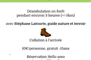 Sortie Nature et Patrimoine