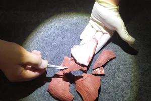 Les Étonnants Patrimoines : Mystère au musée