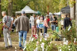 Les Botaniques de Chaumont-sur-Loire