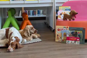 Lire avec les chiens