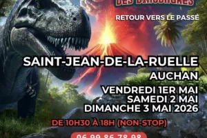A la découverte des dinosaures