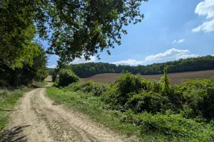 Sortie nature à Concevreux : "Rando-nature à Concevreux"