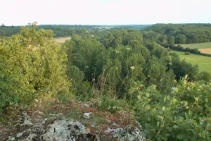 A la recherche du trésor d'Halloween au Bois des Roches