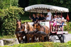 Balade en attelage "De la terre au pur-sang : balade au cœur de l’agriculture normande, au rythme des chevaux"