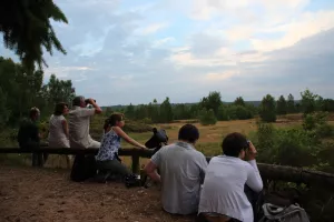 Les oiseaux de la Réserve naturelle régionale de la Boucle de Moisson