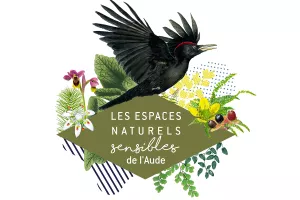 ENS - DÉCOUVRONS LES PATRIMOINES DU PLA DE VENTENAC !