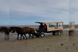 Découverte de la Pêcherie "La Maillard" en calèche