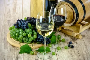 Domaine de Sauban | Une journée au vignoble