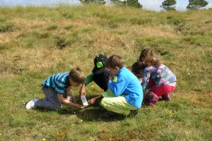 Eveil à la nature dans les dunes (3/6 ans)