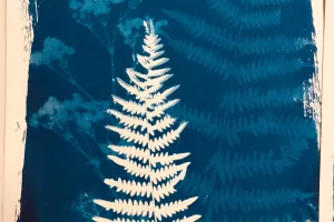 Atelier cyanotype sur papier