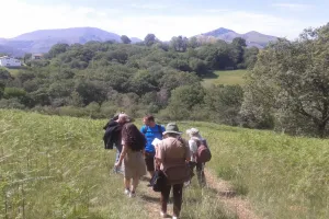 Balade 3Des mots dans la nature"