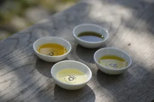 VISITE GUIDÉE DE L'HUILERIE MOOG