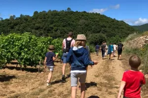 BALADE DES SAVEURS : « LES SECRETS DU VIN ; ENTRE LÉGENDES ET HISTOIRES »