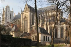 La Cathédrale et son quartier - Visite guidée