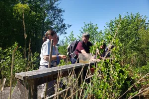 Balade dans la réserve de Mathon un soir de printemps