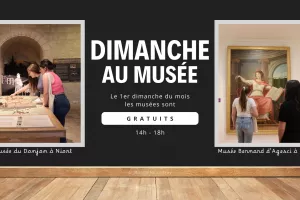 Entrée gratuite au musée Bernard d'Agesci et du Donjon à Niort