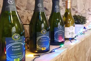 ARTISTES À SUIVRE 2026 - VIGNOBLE NICOLAS THÉREZ