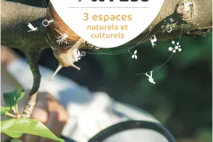 Découverte des petites bêtes aquatiques