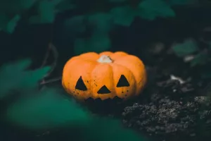 Visite-atelier - Danse macabre