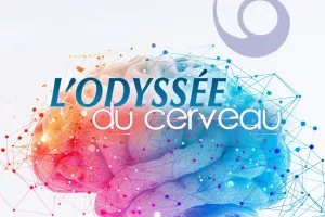 Visite commentée - L’odyssée du cerveau : neurones, neurotransmetteurs et cellules gliales