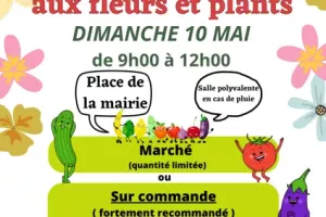 Marché aux plants et aux fleurs à Saint Laurent d'Olt