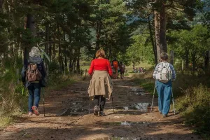 Sortie avec le Club Vosgien du Kochersberg : Gaschney, Blaufels