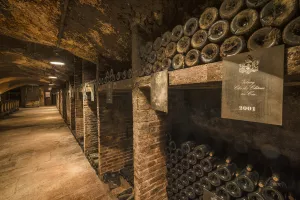 Festival de Bach à Bacchus - Visite des caves du Château de Meursault et dégustation