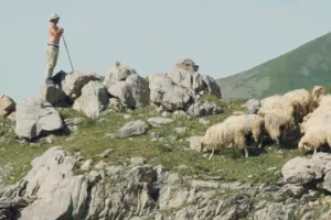 Cinéma Gourette : Estive