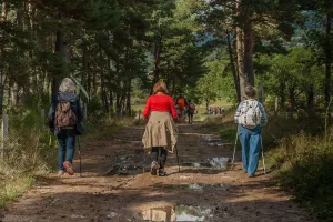 Randonnée pédestre et vtt à Loye sur arnon