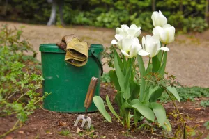 Journée du Jardinier