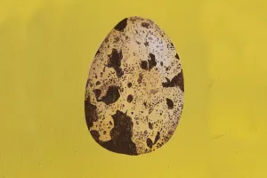 Intime paysage / Morgane Barbotin