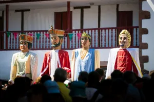 Nafarroaren Eguna : Journée de la Navarre