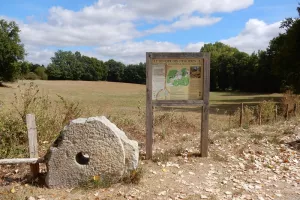 Visite commentée du sentier des meulières