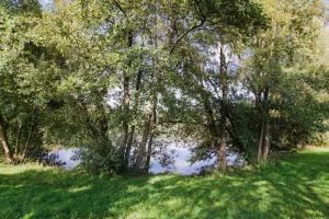 Kamishibaï - Contes de Printemps