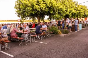 Domaine Bohr : les Guinguettes