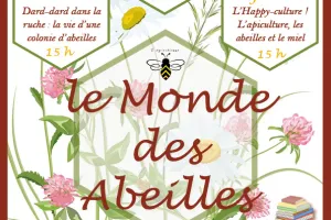 Atelier : Dard-dard dans la ruche - la vie d'une colonie d'abeilles