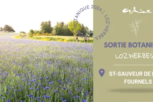 SORTIE BOTANIQUE À FOURNELS