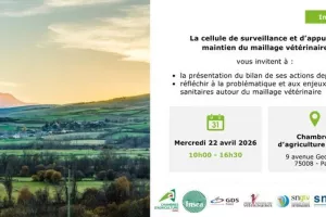 Comment maintenir un maillage vétérinaire en milieu rural ?