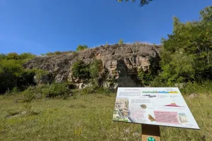 Sortie nature à Oeuilly : "Un peu de géologie en bonne compagnie !"