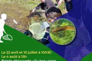 Atelier-découverte "La petite faune des mares et zones humides"  au lac du Tolerme
