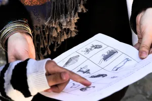 L’énigme du chat momifié