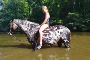 Rando équestre baignade avec la Ferme des Grandes Oreilles