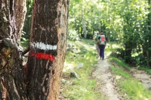 Randonnée pédestre "La Régalade des 3 Clochers" à Castelnau de Mandailles