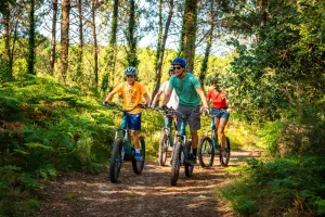 Balade trottinette tout terrain électrique