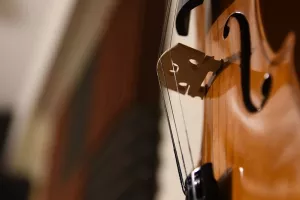 Duo Violoncelle et Accordéon : Voyage au cœur de la Grande Europe