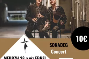 Concert du duo Hamon-Martin